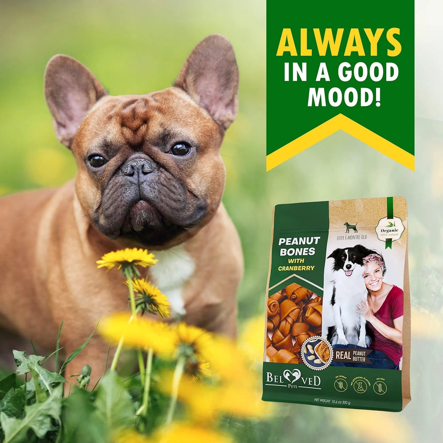 Dog Peanut Butter Bones with Cranberry Rawhide – Tasty & Healthy Chew Treats for Dogs - AllvueCo