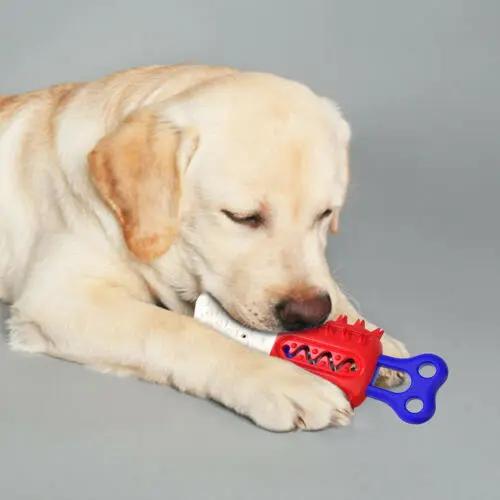 Floatable Pet Dog Cleaning Teeth Chew Toy Cooling Thirst Que | Electronic Learning Toys - AllvueCo