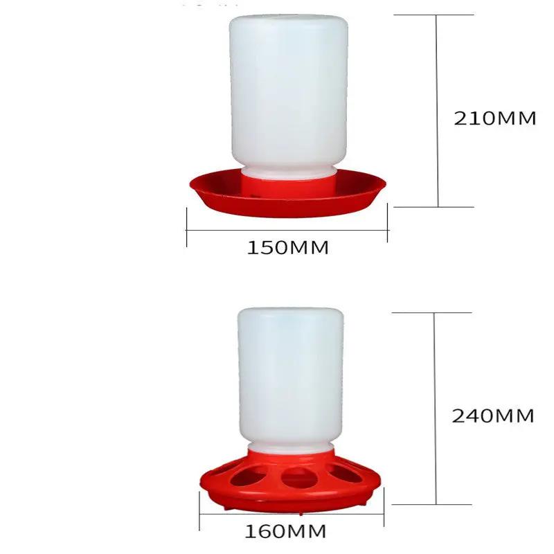 Water Bottle for Pigeons - AllvueCo