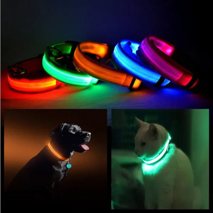 LED Halo-Style Pet Safety Collar – USB Rechargeable Light-Up Neck Ring for Dogs & Cats, Night Visibility Gear - AllvueCo