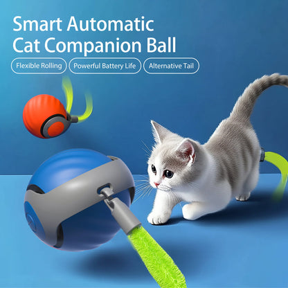 Smart Interactive Cat Ball – Type-C Rechargeable, Automatic Rolling Toy with LED Lights & Feather Tail - AllvueCo