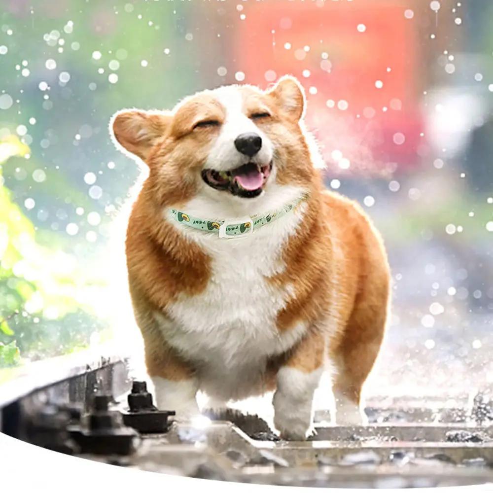 Pet Repellent Anti-flea Collar  - Adjustable Design - AllvueCo