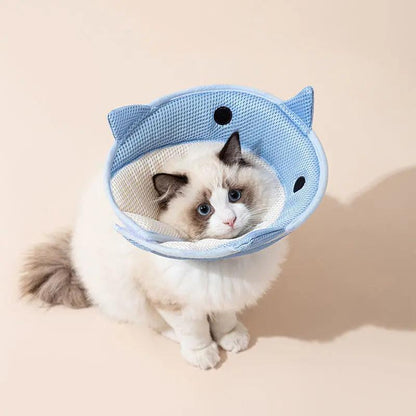 Soft Cat Recovery Collar - Nonwoven Fabric Cat Cone Collar - AllvueCo