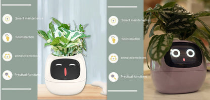 Smart Planter with AI Sensors – Interactive Plant Care with 49+ Expressions & Real-Time Monitoring AllvueCo