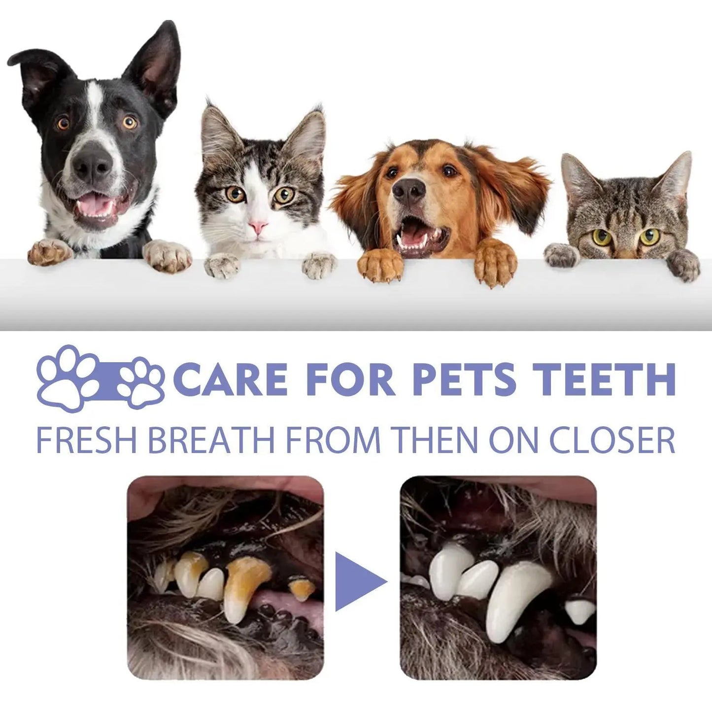 Yegebang Pet Teeth Cleaning Spray – Oral Care & Fresh Breath for Dogs and Cats - AllvueCo