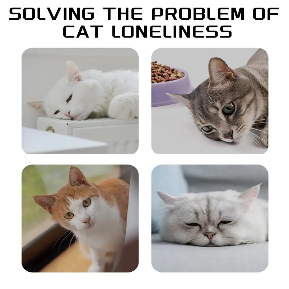 Dog Rope Toy Knots Chew Rope Toy Dog Pull Rope Natural Cotto | Electronic Learning Toys - AllvueCo