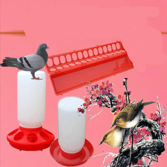 Water Bottle for Pigeons - AllvueCo