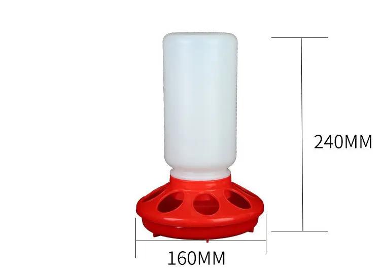 Water Bottle for Pigeons - AllvueCo