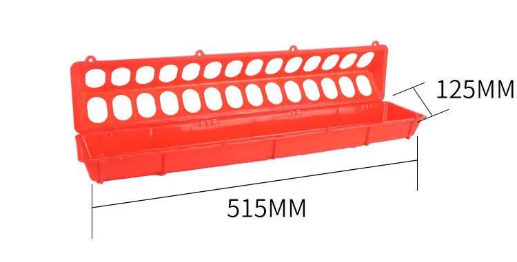 Water Bottle for Pigeons - AllvueCo