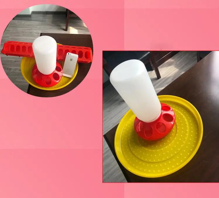 Water Bottle for Pigeons - AllvueCo