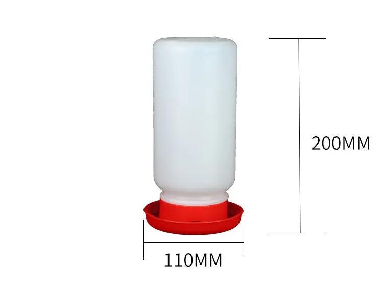 Water Bottle for Pigeons - AllvueCo