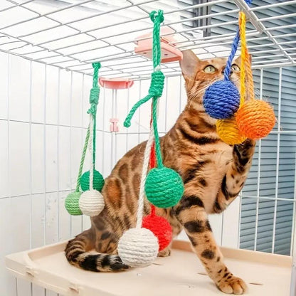 Cat Scratcher Ball - Chewable Interactive Toy for Kittens - AllvueCo