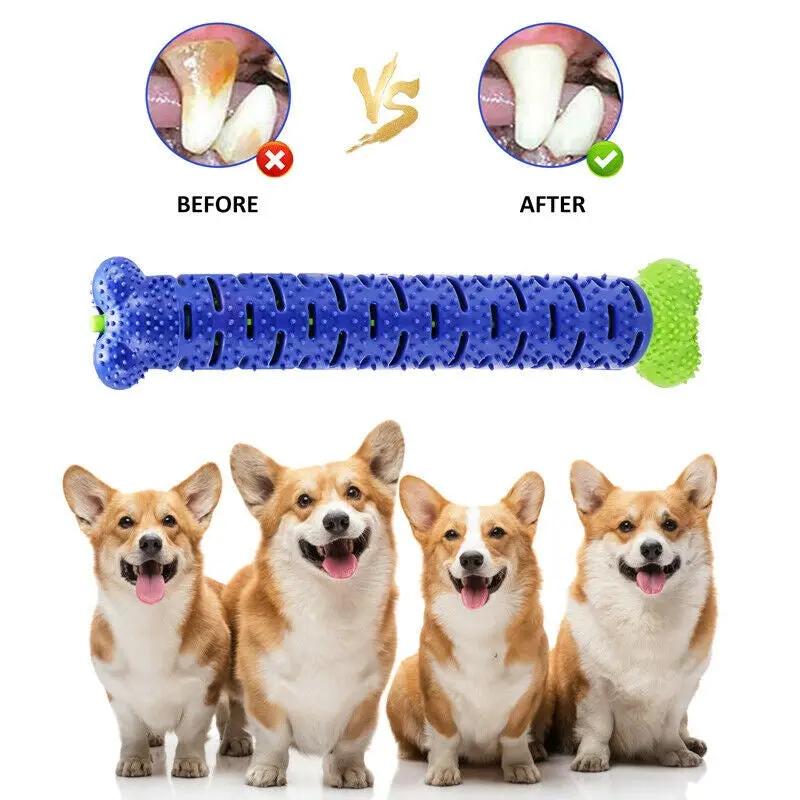 Dog Chew Toy Toothbrush Pets Molar Tooth Cleaning Brushing S | Electronic Learning Toys - AllvueCo