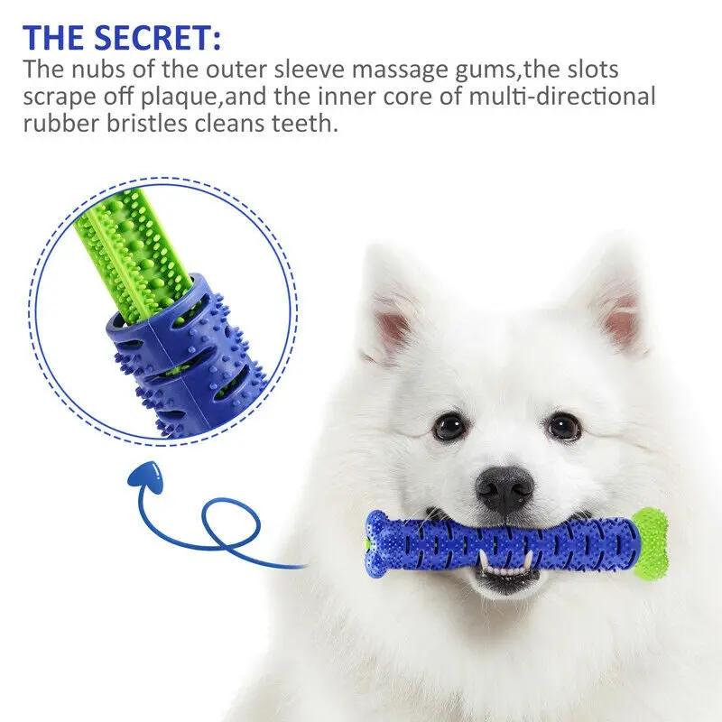 Dog Chew Toy Toothbrush Pets Molar Tooth Cleaning Brushing S | Electronic Learning Toys - AllvueCo