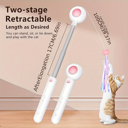 Retractable Cat Teaser Wand – Interactive Feather Toy with Replacement Heads for Indoor Cats, Exercise & Play - AllvueCo