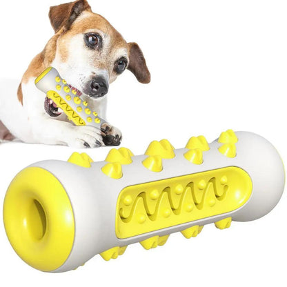 Dog Squeaky Toy For Aggressive Chewers, Tough Toothbrush Dog | Electronic Learning Toys - AllvueCo