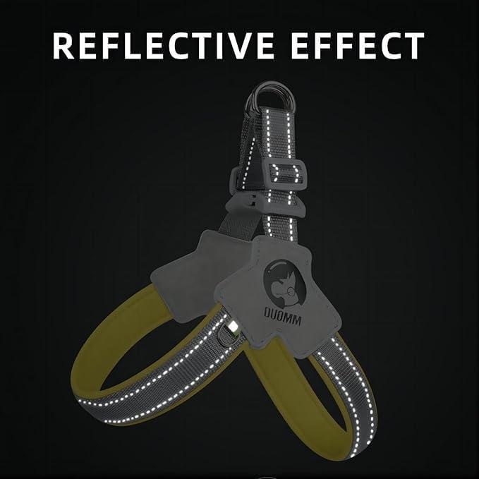 Adjustable Reflective Pet Harness & Leash Set – No-Pull, No-Choke Design for Dogs & Cats with Comfortable Leather Lead - AllvueCo