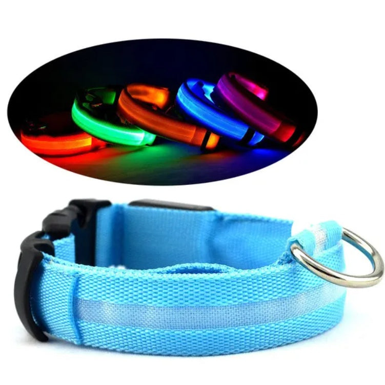 LED Halo-Style Pet Safety Collar – USB Rechargeable Light-Up Neck Ring for Dogs & Cats, Night Visibility Gear - AllvueCo