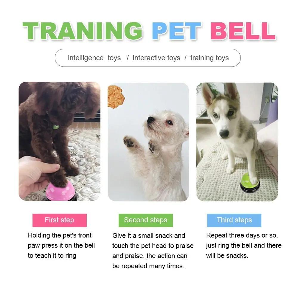 Dog Training Bell for Potty Training - Durable Pet Doorbell - AllvueCo