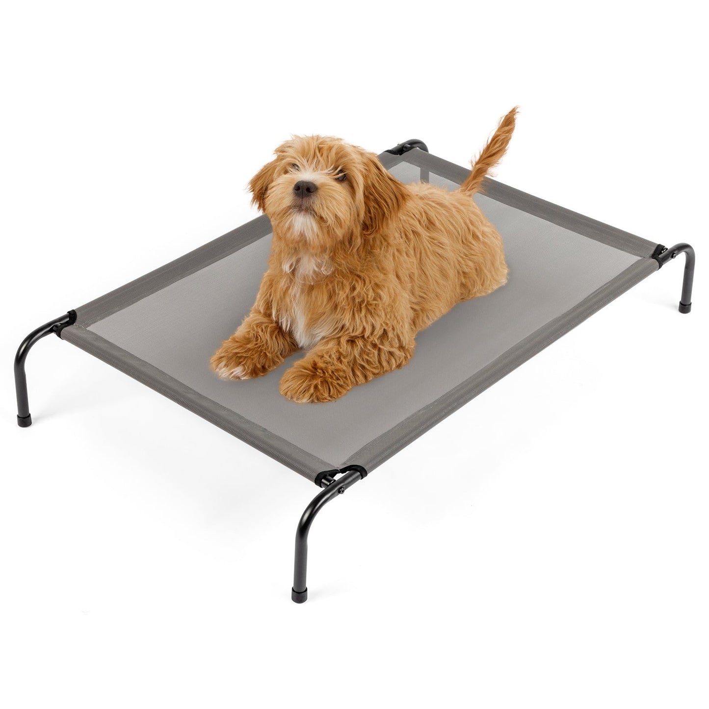 Extra-Large Elevated Dog Bed – Heavy-Duty Cooling Cot with Steel Frame & Breathable Mesh (Black) - AllvueCo