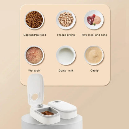 Automatic Pet Feeder | Smart Food Dispenser for Cats and Dogs - AllvueCo