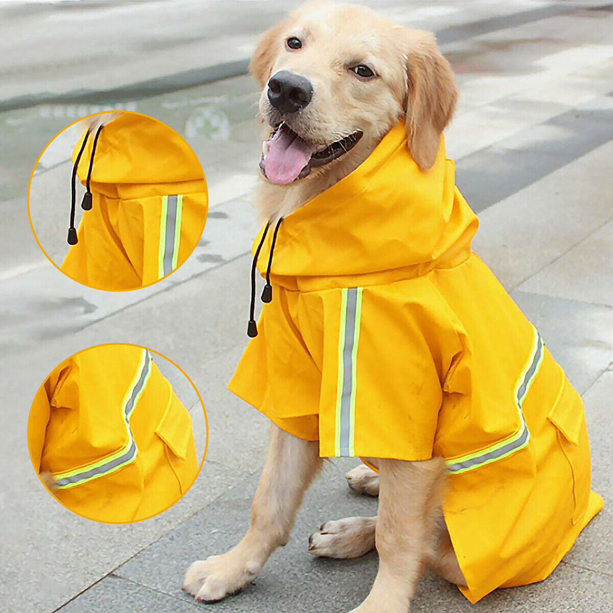 Waterproof Dog Raincoat with Hood – Soft, Breathable Jacket for Small Dogs with Transparent Cap & Belly Protection - AllvueCo