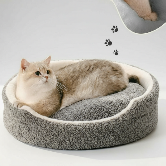 Mewoofun Washable Pet Bed – Cozy 23×23×7 Inch Bed for Small Dogs & Cats - AllvueCo