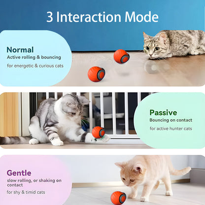 Smart Interactive Cat Ball – Type-C Rechargeable, Automatic Rolling Toy with LED Lights & Feather Tail - AllvueCo