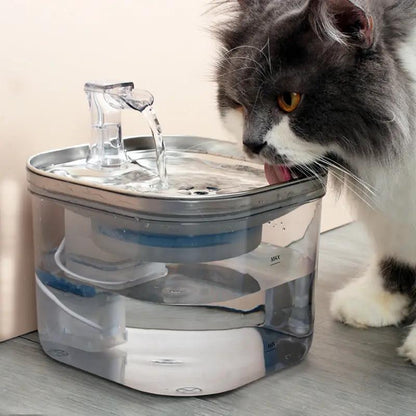 Pet Stainless Steel Automatic Circulation Water Dispenser - AllvueCo