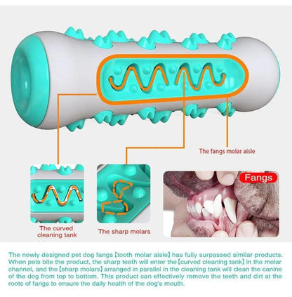 Dog Squeaky Toy For Aggressive Chewers, Tough Toothbrush Dog | Electronic Learning Toys - AllvueCo