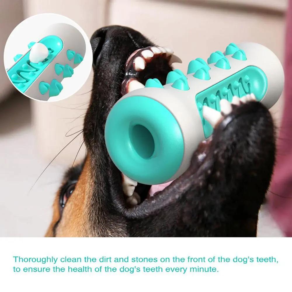 Dog Squeaky Toy For Aggressive Chewers, Tough Toothbrush Dog | Electronic Learning Toys - AllvueCo