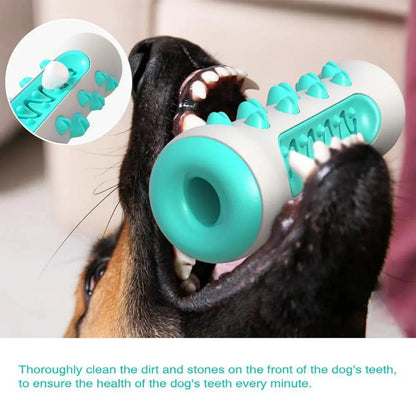 Dog Squeaky Toy For Aggressive Chewers, Tough Toothbrush Dog | Electronic Learning Toys - AllvueCo