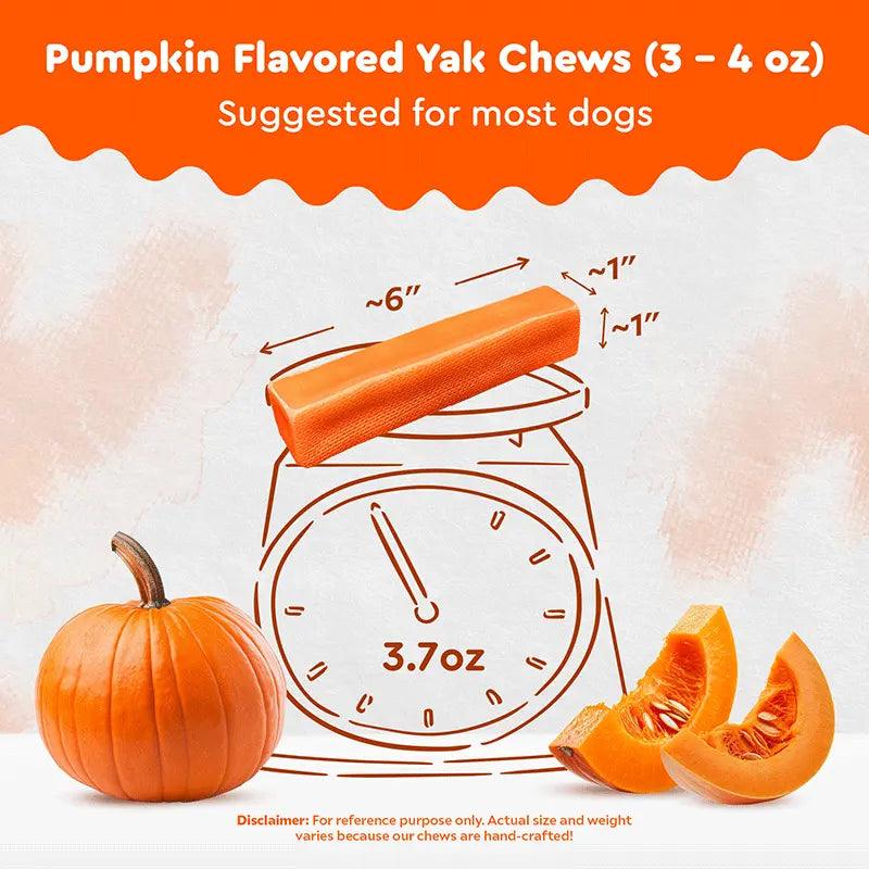 Pumpkin Yak Chews