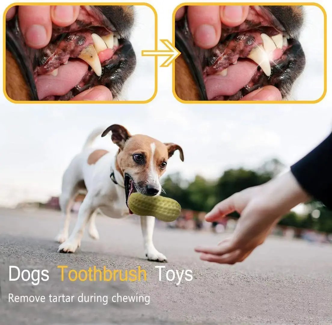 Funny Pet Dog Squeaky Toy For Small Middle Dogs Bite Resista | Electronic Learning Toys - AllvueCo