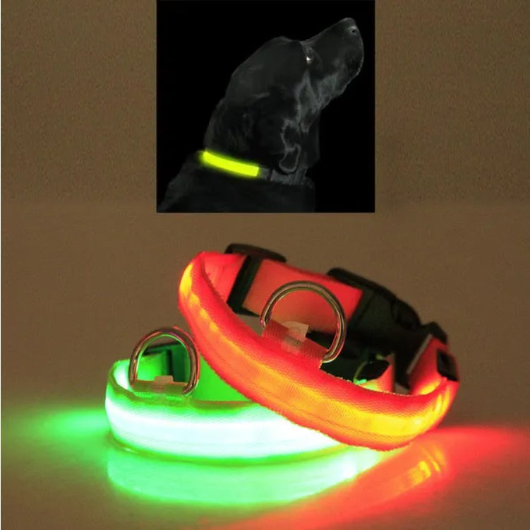 LED Halo-Style Pet Safety Collar – USB Rechargeable Light-Up Neck Ring for Dogs & Cats, Night Visibility Gear - AllvueCo