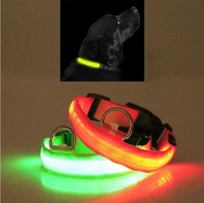 LED Halo-Style Pet Safety Collar – USB Rechargeable Light-Up Neck Ring for Dogs & Cats, Night Visibility Gear - AllvueCo