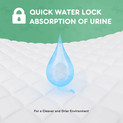 Leak-Proof Disposable Puppy Pads – Quick-Drying, Ultra Absorbent Dog Pee Pads for House Training & Travel - AllvueCo