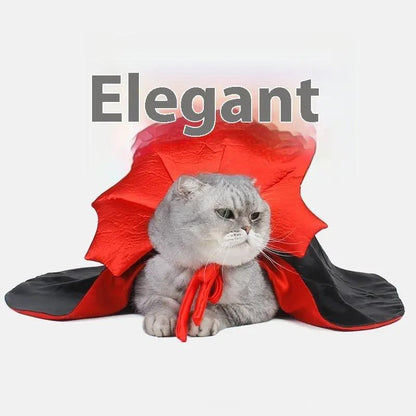Halloween Pet Clothes - Stylish and Functional Costumes - AllvueCo