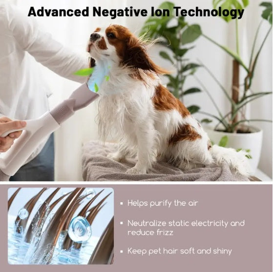 Dog & Cat Hair Blower – Negative Ion Function Grooming Dryer with Adjustable Settings - AllvueCo