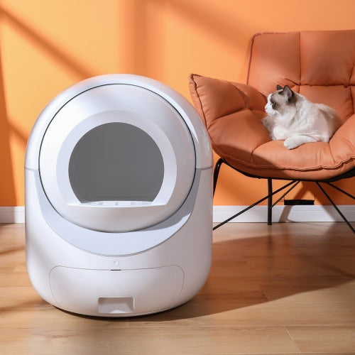 Smart Self-Cleaning Cat Litter Box - AllvueCo