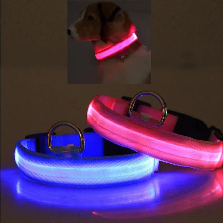 LED Halo-Style Pet Safety Collar – USB Rechargeable Light-Up Neck Ring for Dogs & Cats, Night Visibility Gear - AllvueCo
