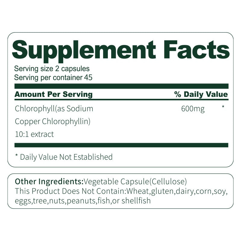 Moringa Capsules – Antioxidant & Anti-Inflammatory Supplement for Overall Health (60 Capsules) - AllvueCo