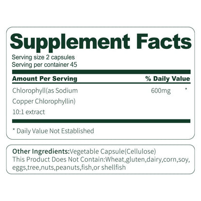 Moringa Capsules – Antioxidant & Anti-Inflammatory Supplement for Overall Health (60 Capsules) - AllvueCo