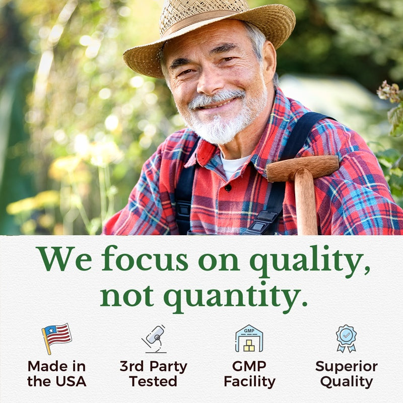 Moringa Capsules – Antioxidant & Anti-Inflammatory Supplement for Overall Health (60 Capsules) - AllvueCo