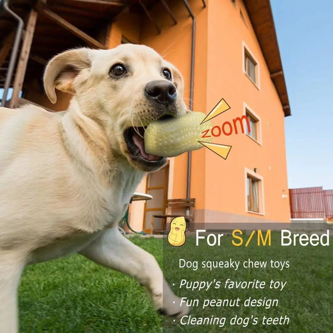 Funny Pet Dog Squeaky Toy For Small Middle Dogs Bite Resista | Electronic Learning Toys - AllvueCo