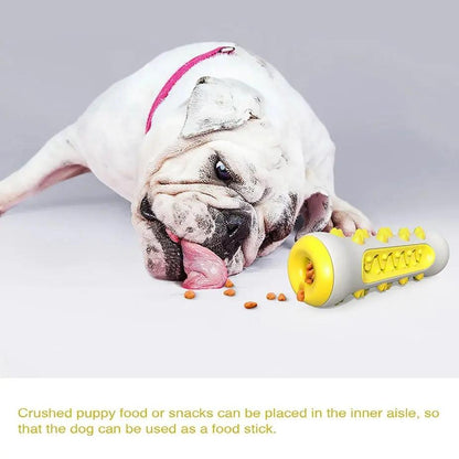 Dog Squeaky Toy For Aggressive Chewers, Tough Toothbrush Dog | Electronic Learning Toys - AllvueCo