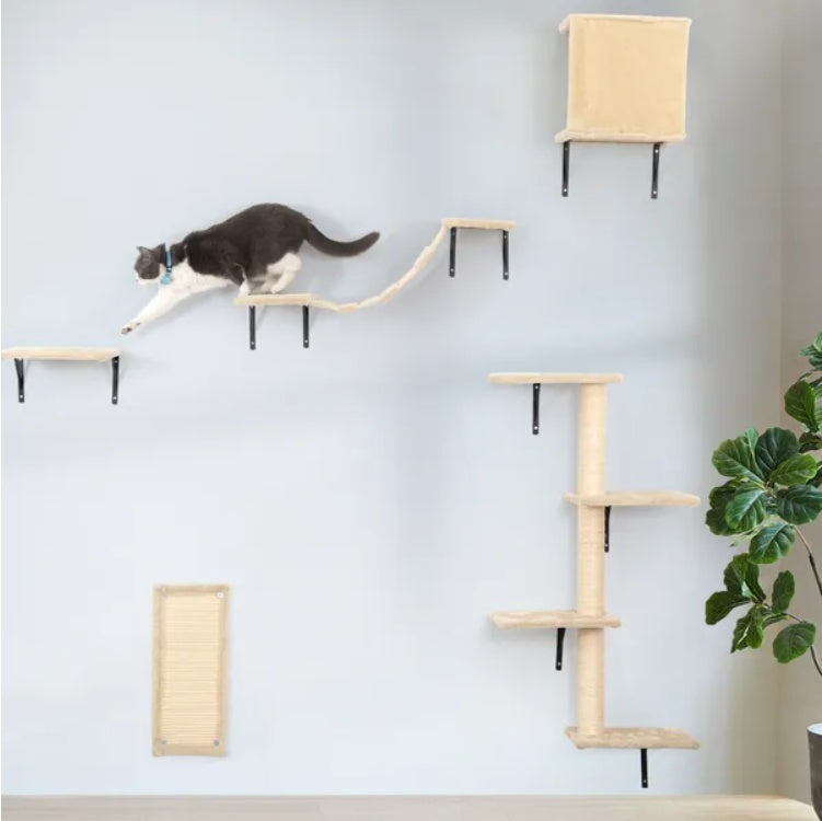 5 Pcs Wall Mounted Cat Climber Set – Floating Cat Shelves for Climbing, Playing & Exercising - AllvueCo