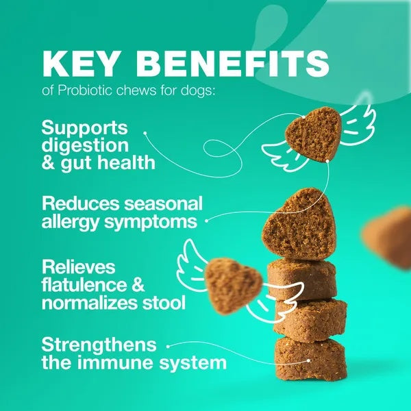 Probiotic Chews for Dogs – Gut Health, Allergy Relief & Immune Support with Digestive Enzymes & Prebiotics (180 Count) - AllvueCo