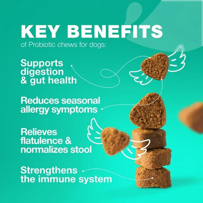 Probiotic Chews for Dogs – Gut Health, Allergy Relief & Immune Support with Digestive Enzymes & Prebiotics (180 Count) - AllvueCo