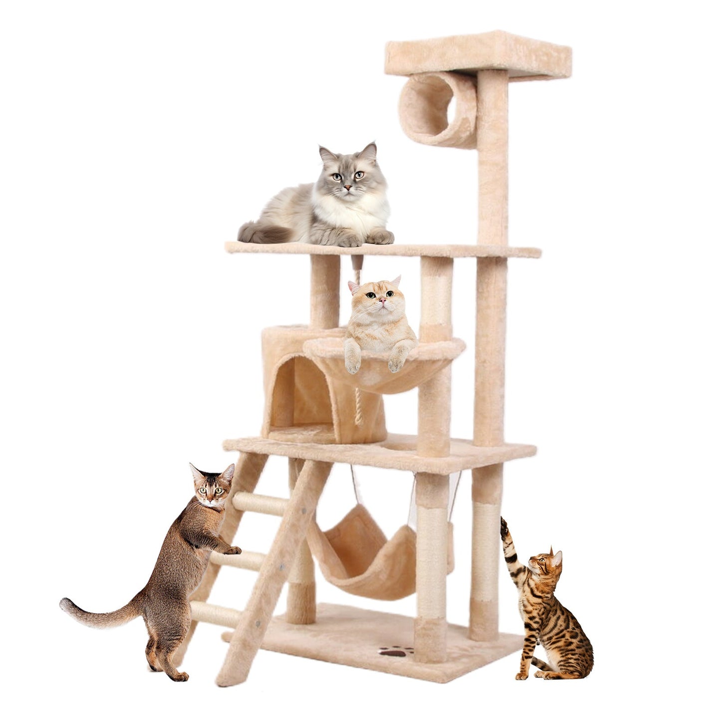 Multi-Level Cat Climbing Frame – Indoor Activity Tower for Play & Rest - AllvueCo